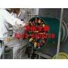 無(wú)刷自控電機(jī)液阻起動(dòng)器