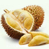 泰國(guó)金枕榴蓮進(jìn)口代理報(bào)關(guān)公司