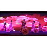 威海皮影戲表演，年會開場舞蹈，女子民樂，沙畫主持人