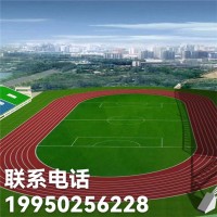廣元學(xué)校足球場假草坪 達州學(xué)校足球場假草坪