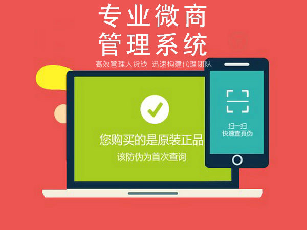 微商防偽查詢系統5.JPG